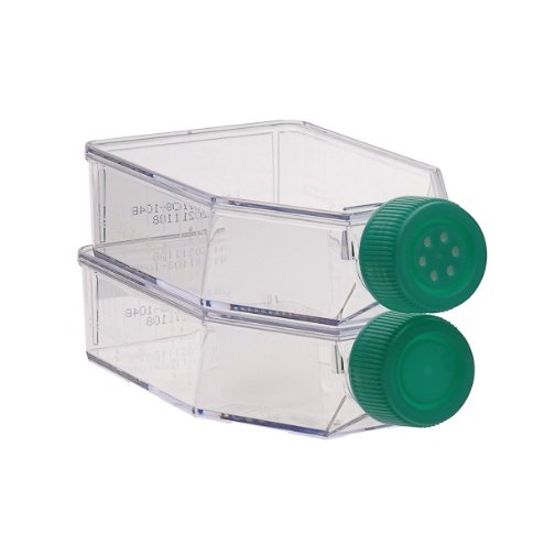 40-labbox-culture-flasks-treated-sterile