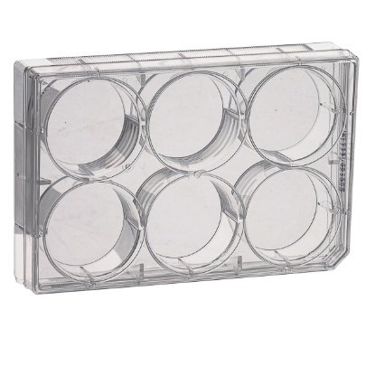 41-labbox-culture-multiwell-plates-treated-sterile